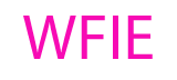 Walk Forward Inc logo